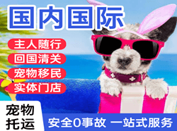 布尔津喀纳斯空运地址国际宠物托运 【国